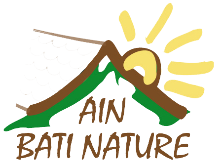 ain bati nature